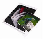 CLEAR FILE storage box 12x13"